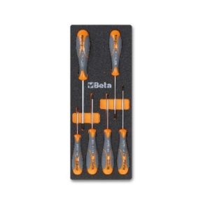 Composition Tournevis Torx - Plateau mousse 6 pieces M174