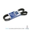 Courroie multi-nervures - DT SPARE PARTS 3.34314